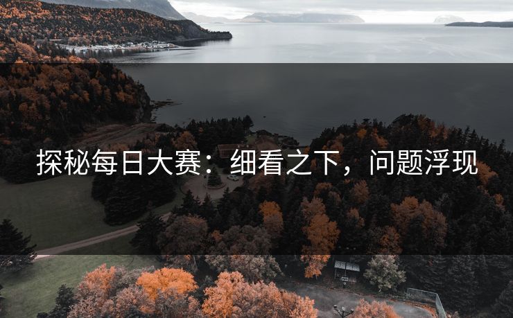探秘每日大赛：细看之下，问题浮现