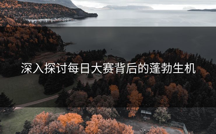 深入探讨每日大赛背后的蓬勃生机